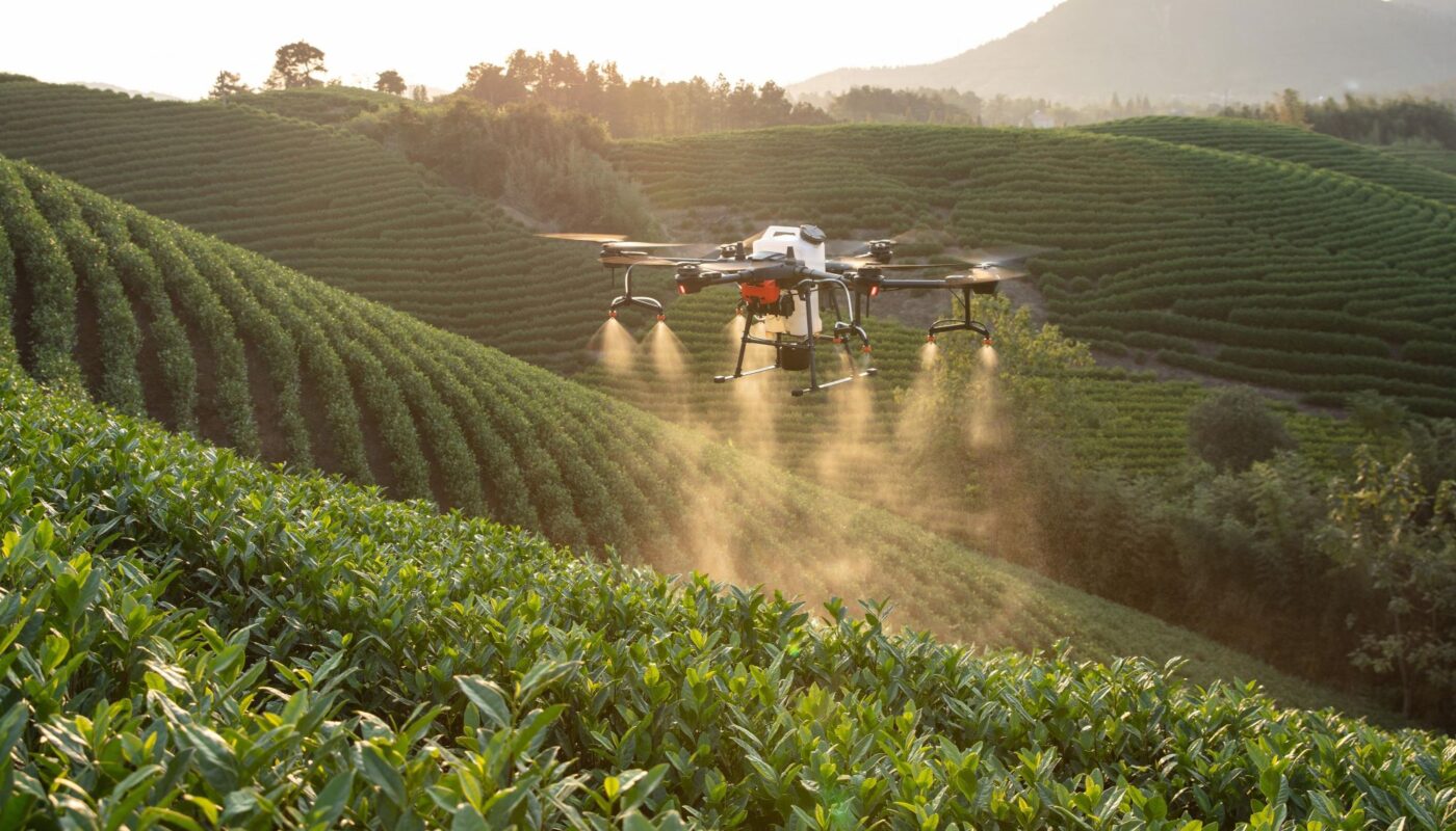 The role of AI in enhancing agricultural yields