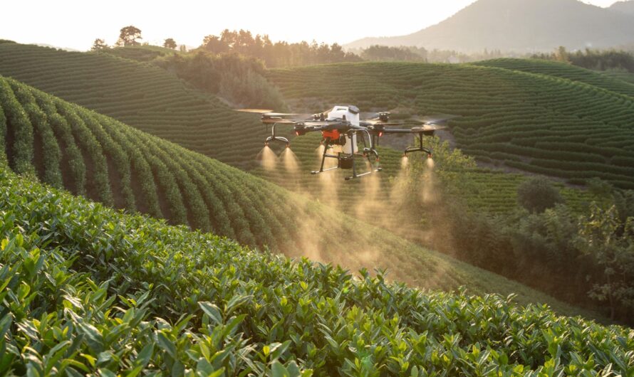 The role of AI in enhancing agricultural yields